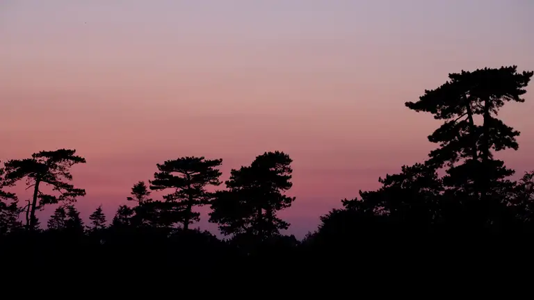 Tusmørke over Høje Møn - foto: Per Rasmussen