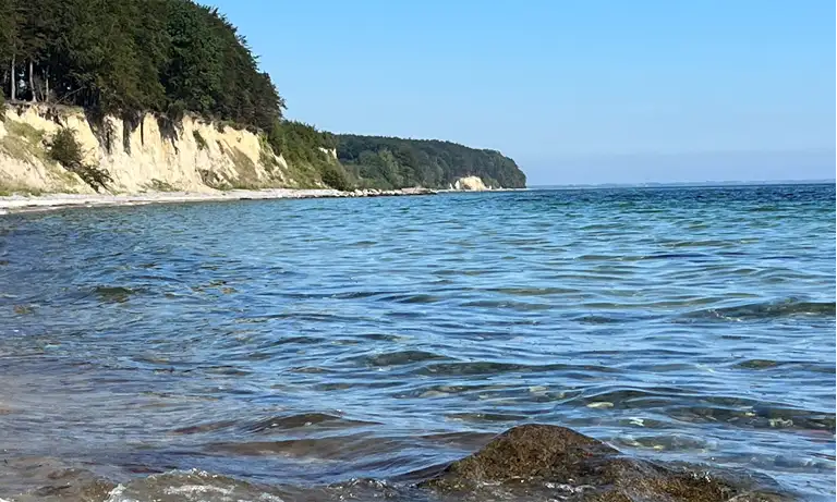 Mads Klint ved Fanefjord Skov på Møn