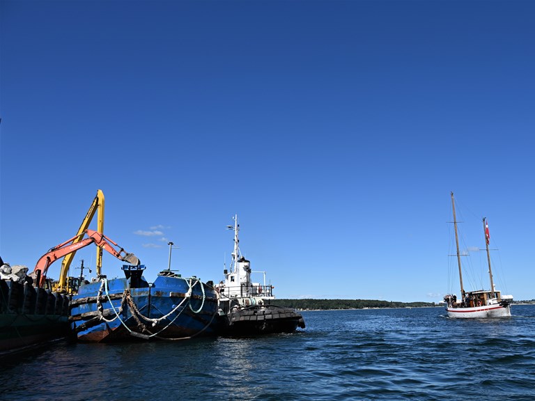 Billede etablering af stenrev